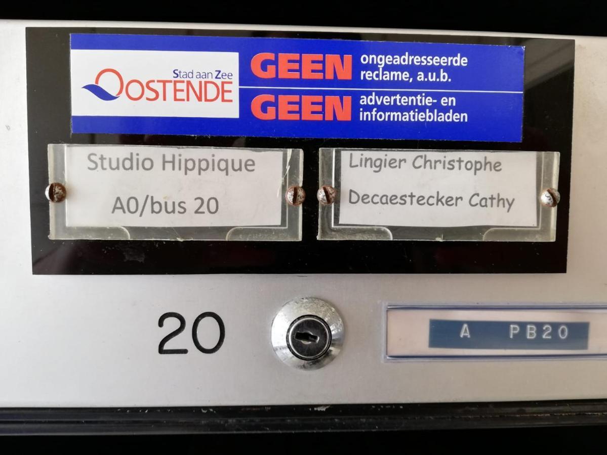 Studio Hippique Ostende Kültér fotó